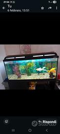 Acquario 180 litri