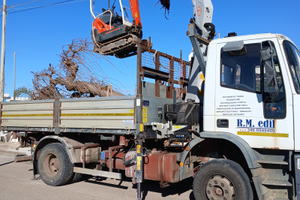 Eurocargo 150-23 ribaltabile e gru