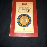 Breve storia della grande Inter