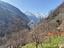 Immagine 29