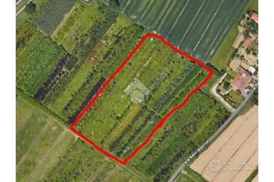 TER. AGRICOLO A PRATO