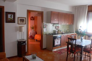 Roseto pieno centro appartamento estivo