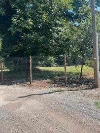 Terreno semiboschivo