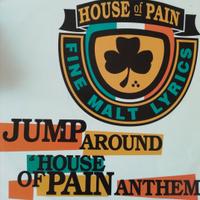LOTTO 45 VINILI RAP HIP HOP RNB HOUSE OF PAIN