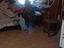 Immagine 4