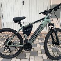 Bici elettrica