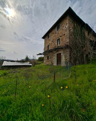 rudere con terreno 