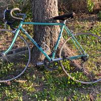 Bicicletta da corsa Bianchi Rekord 841 vintage