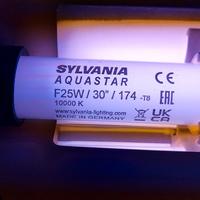 neon 25W con starter