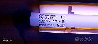 neon 25W con starter