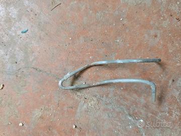 Gancetti tondini vigneto