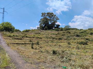 Terreno agricolo di 5050 m²