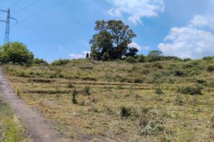 Terreno agricolo di 5050 m²