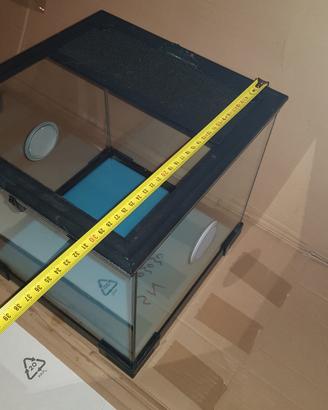 acquario per rettili 