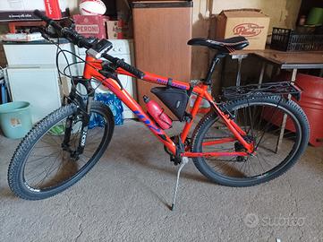 Mountain bike bottecchia