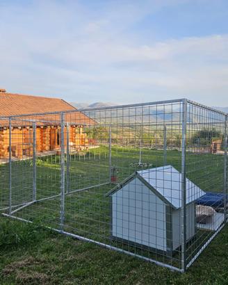 Box per cani professionali zincati-su misura-modul