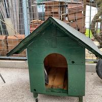 Casetta per cani