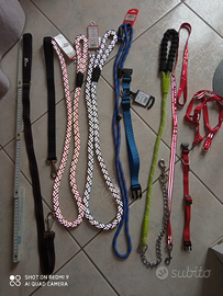 Collari guinzagli e altro