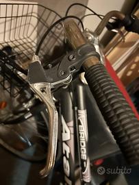 Bicicletta Donna