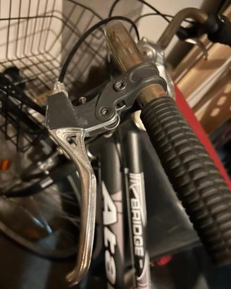 Bicicletta Donna