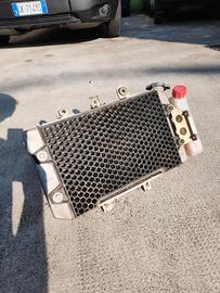 Radiatore completo e ventola Polaris Predator 500