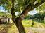 Immagine 15