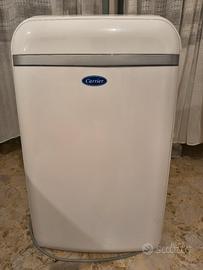 coppia condizionatore portatile 