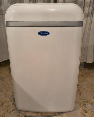 coppia condizionatore portatile 