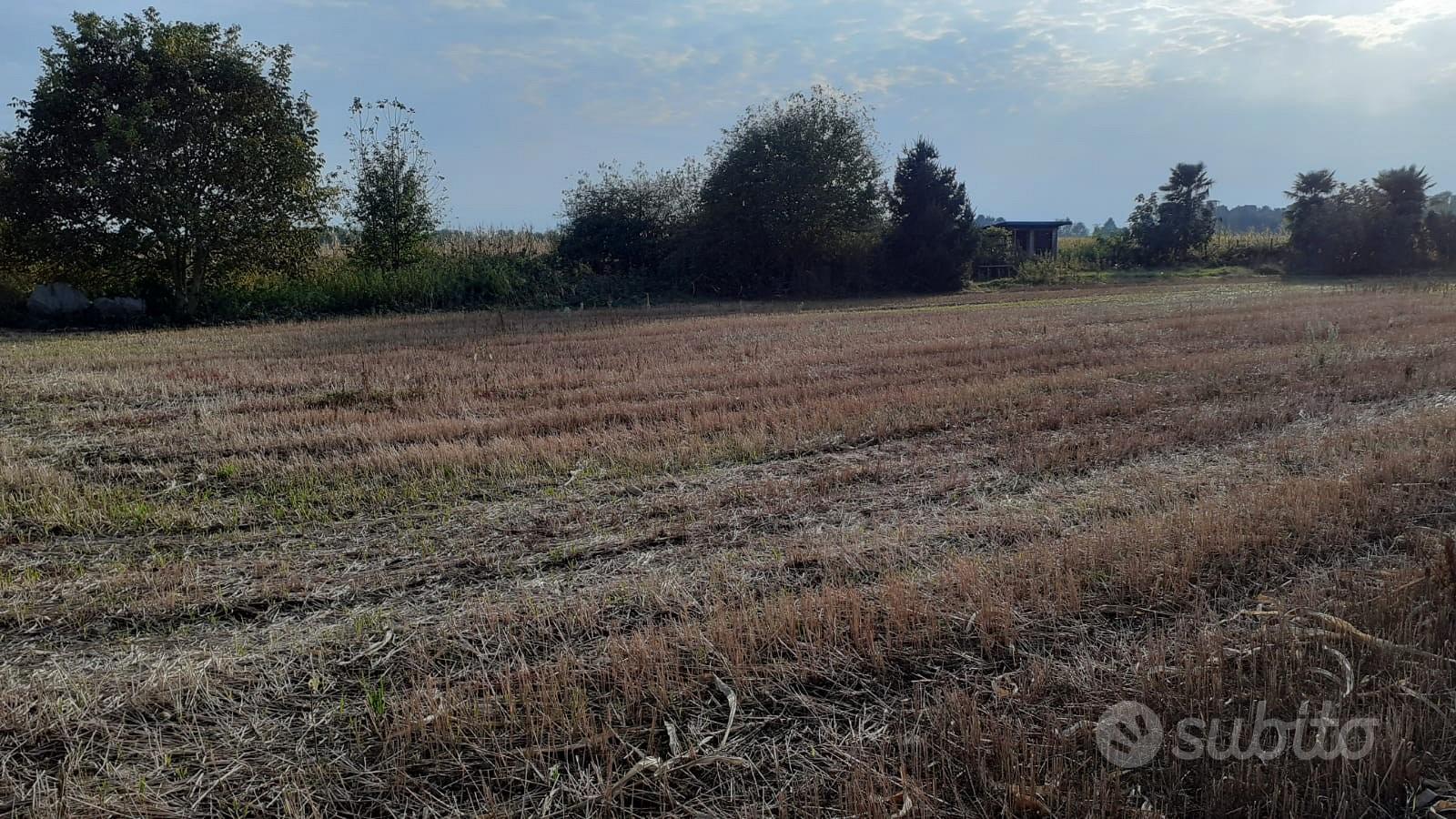 Terreno agricolo - View 2