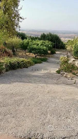 Antico baglio siciliano con 2 ettari di terreno - Vista 2