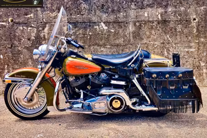 Harley-davidson 1340 Electra Glide HERITAGE EDITIO