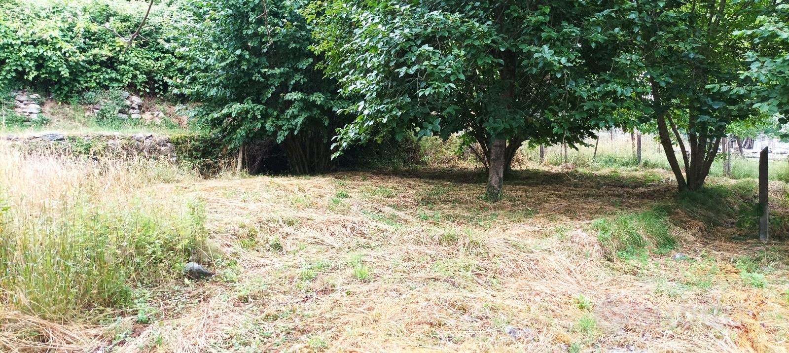 Grande rustico con terreno - Altro