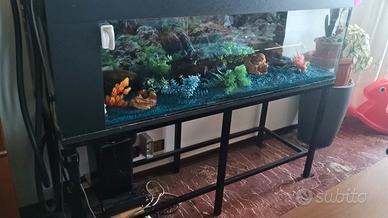 acquario 300 litri