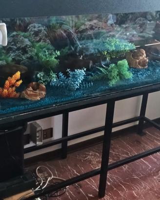 acquario 300 litri