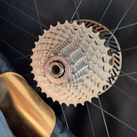 Pignoni campagnolo