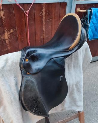 Sella da salto Appalosa 