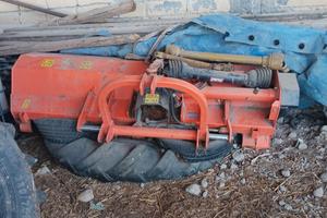 Trinciaerba Shaktiman