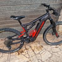 Cannondale Cujo neo e-bike