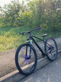 bicicletta 