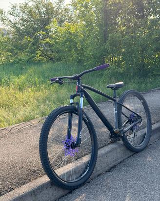 bicicletta 