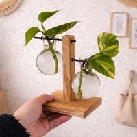 Vaso Supporto Legno-Porta Piante Idroponico-Nuovo