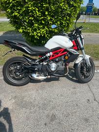 Benelli bn 302