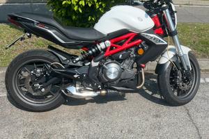 Benelli bn 302