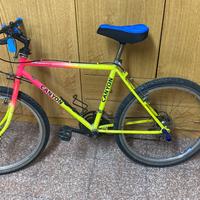 Bicicletta taglia 24