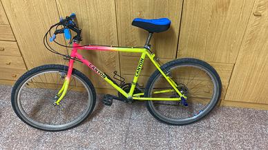 Bicicletta taglia 24