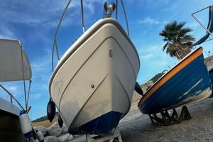 Blumax 22 con honda 4t 225 cv