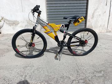 bicicletta 