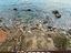 Immagine 14