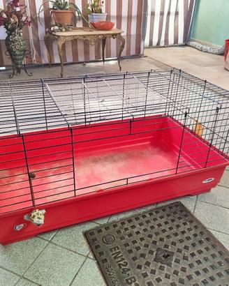 Gabbia per conigli