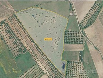 Terreno agricolo